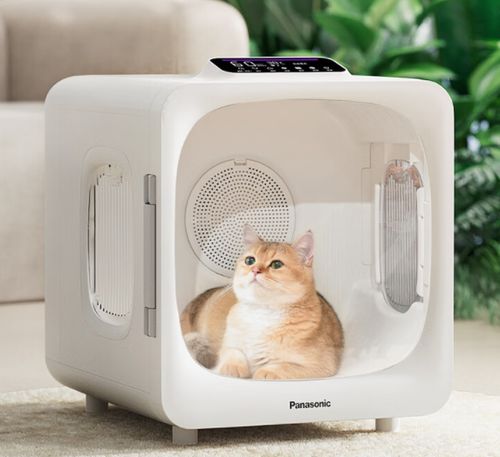 618寵物家電精選指南 智慧科技，開啟愛寵舒適新生活